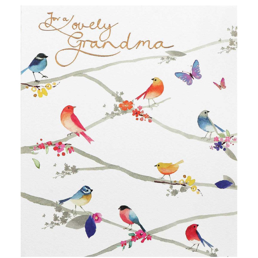 By Recipient | Paperlink Paperlink Delphine Colourful Birds Grandma Birthday Card