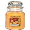 Home Fragrance | Yankee Candle Yankee Candle Mango Peach Salsa Medium Jar Candle