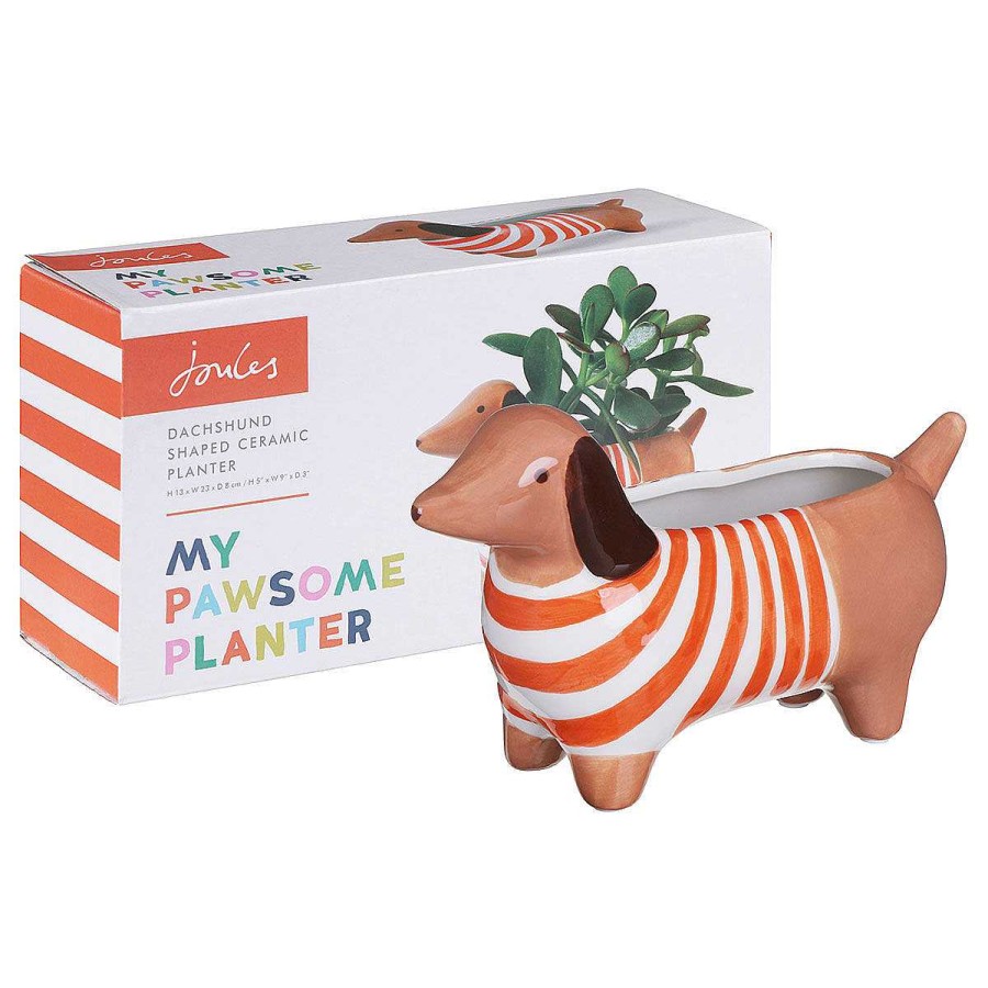 Flower Vases | Joules Joules The Bright Side Dachshund Plant Pot