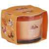 Aromatherapy | Yankee Candle Yankee Candle Mango Ice Cream Single Signature Filled Votive