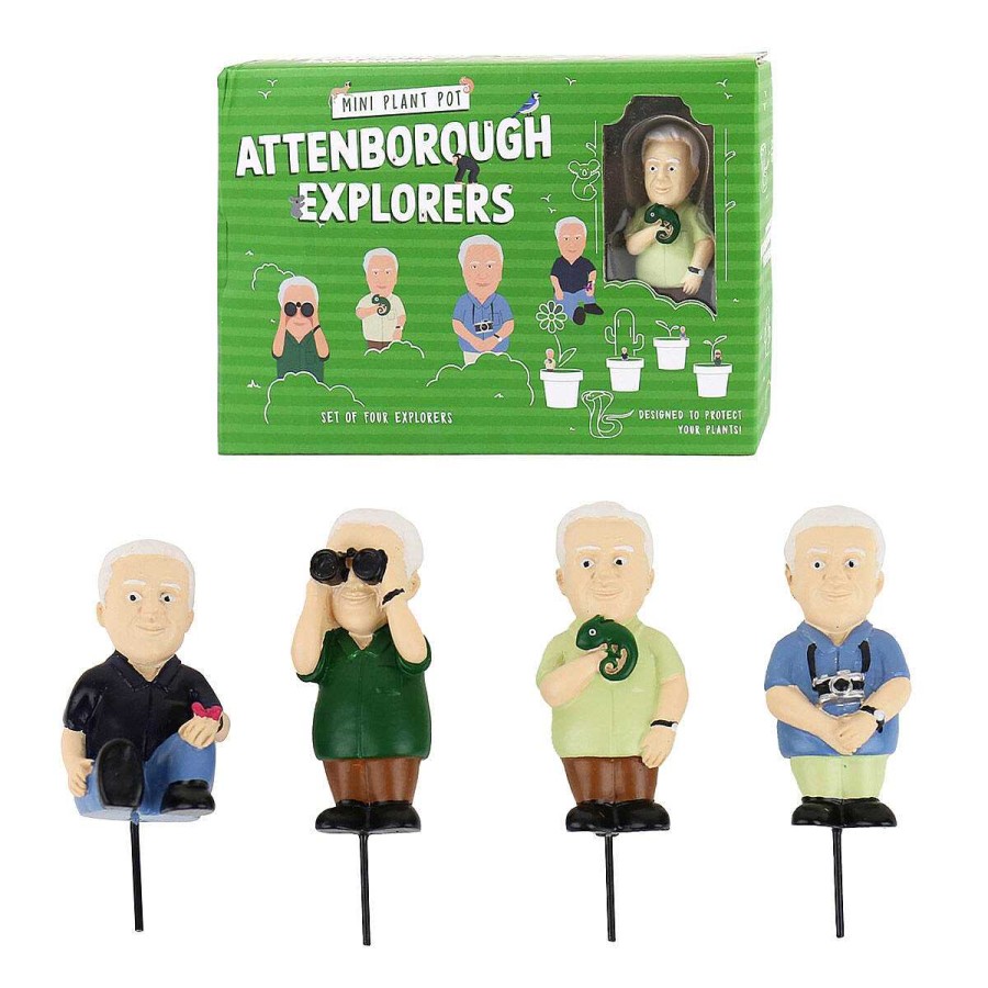 For The Garden | Gift Republic Gift Republic Plant Pot Attenborough Explorers