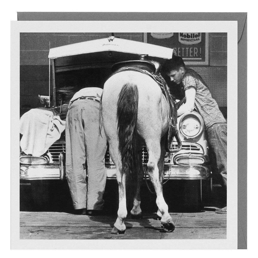 Photographic Cards | Temptation Gifts Holy Mackerel Black & White 'Horse Power' Greetings Card