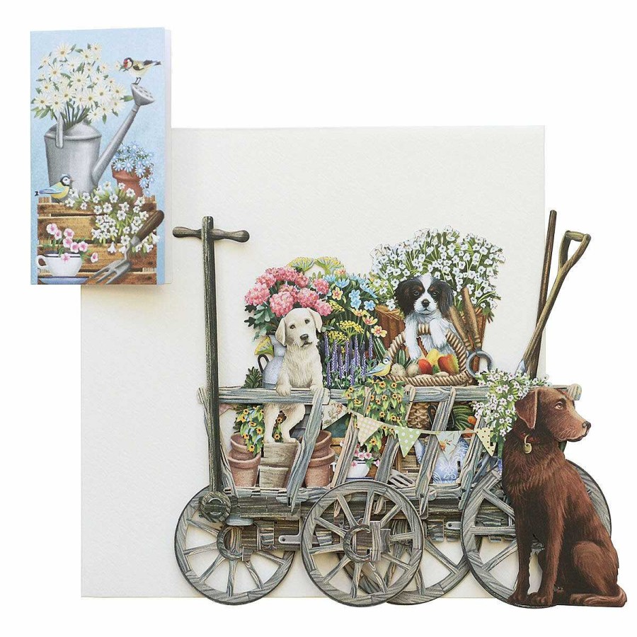 Cats & Dogs Cards | Me & McQ Me & Mcq 'The Goat Cart' 3D Greetings Card