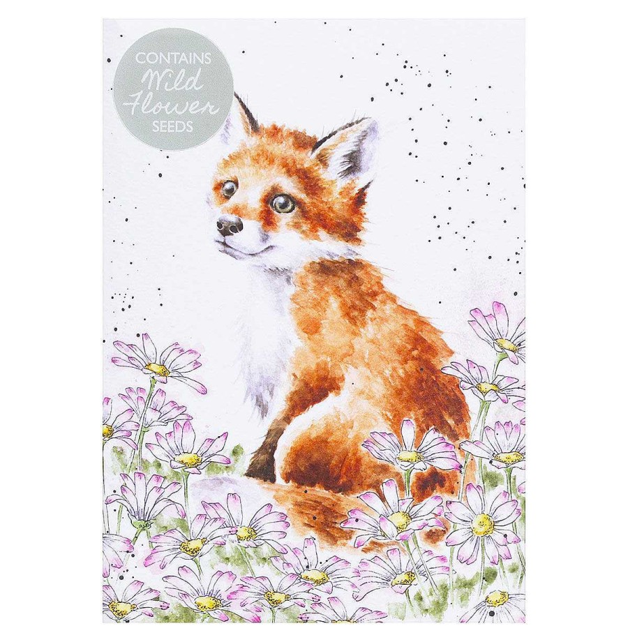 Seed Cards | Wrendale Wrendale 'Make My Daisy' Fox Seed Card