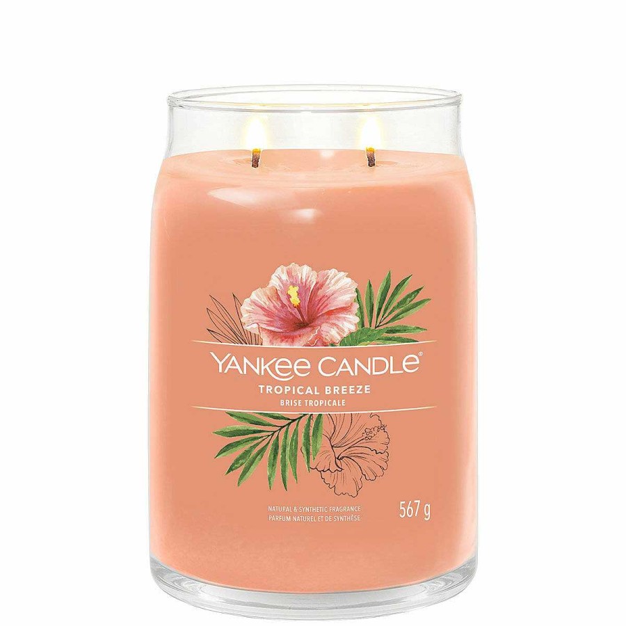 Jar Candles | Yankee Candle Yankee Candle Tropical Breeze Signature Large Jar Candle