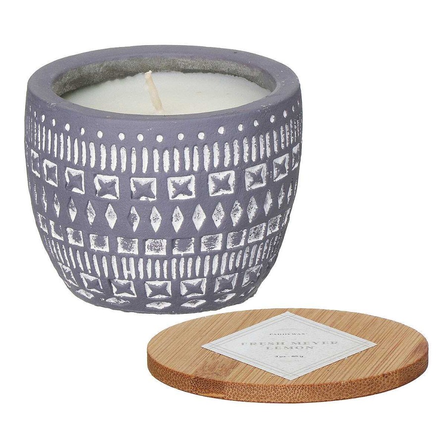 Ceramic Candles | Paddywax Paddywax Sonora 85G Wildflowers & Birch Concrete Soy Candle