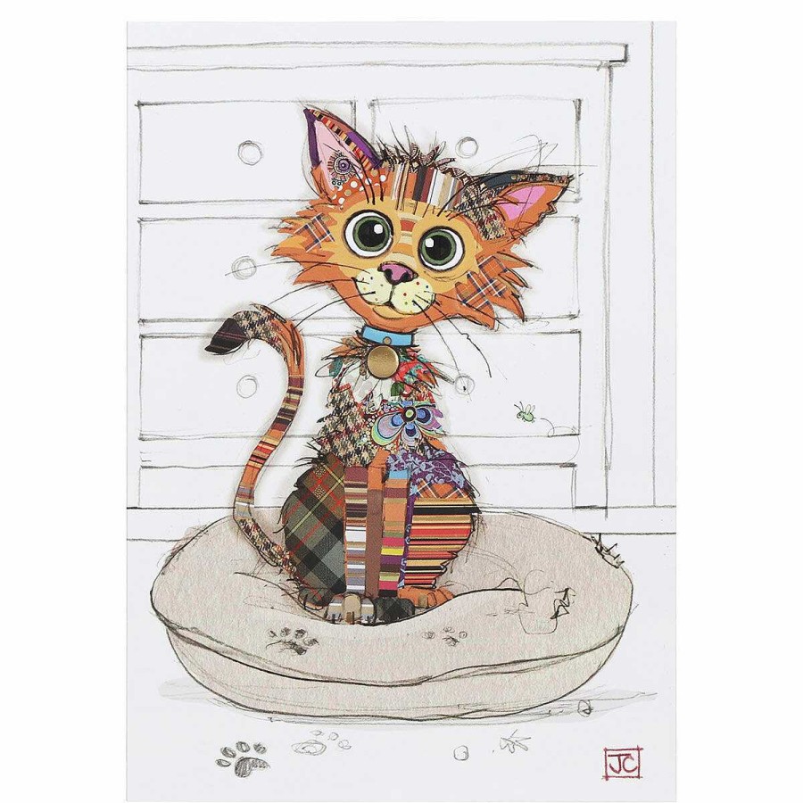 Cats & Dogs Cards | Bug Art Bug Art Kooks Kimba Kitten Greetings Card