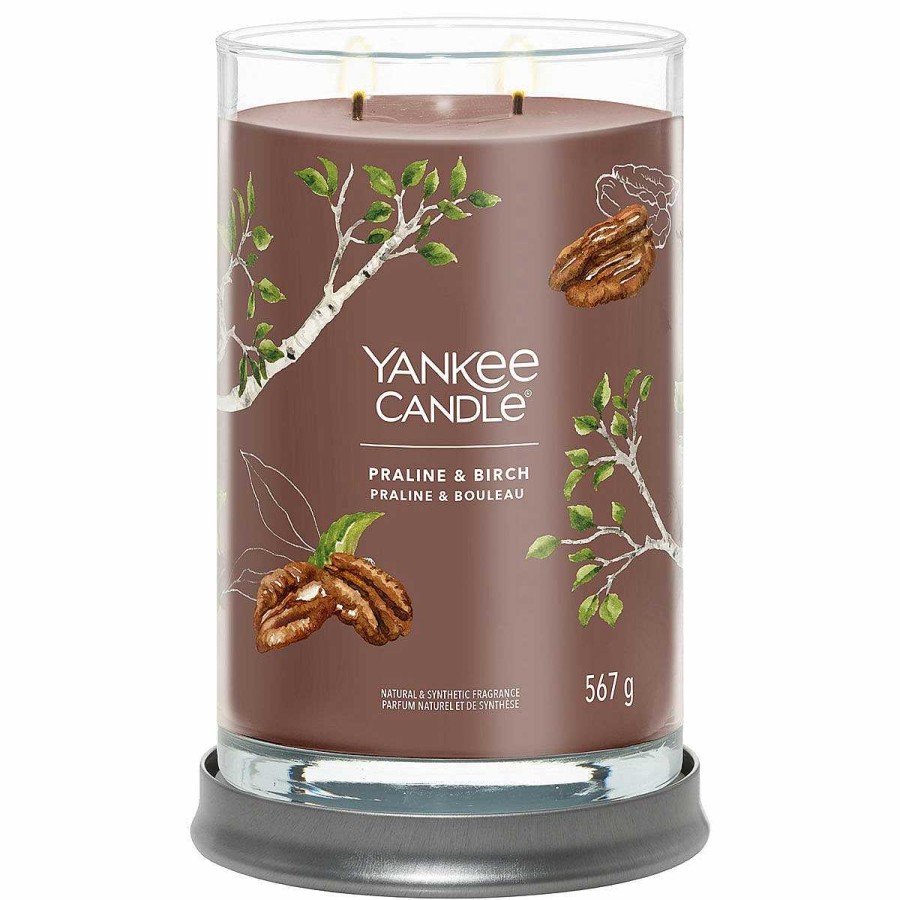 Glass Candles | Yankee Candle Yankee Candle Praline & Birch Signature Large Tumbler Candle