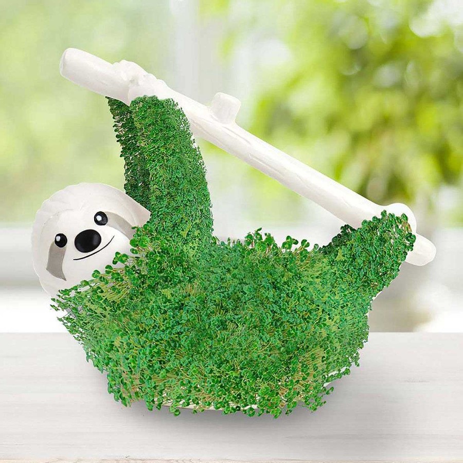 For The Garden | Gift Republic Gift Republic Sloth Planter