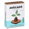 Office | Gift Republic Gift Republic Avocado Grow Kit