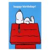 Tv & Book Characters Cards | Peanuts Peanuts Snoopy 'Kennel' Birthday Card