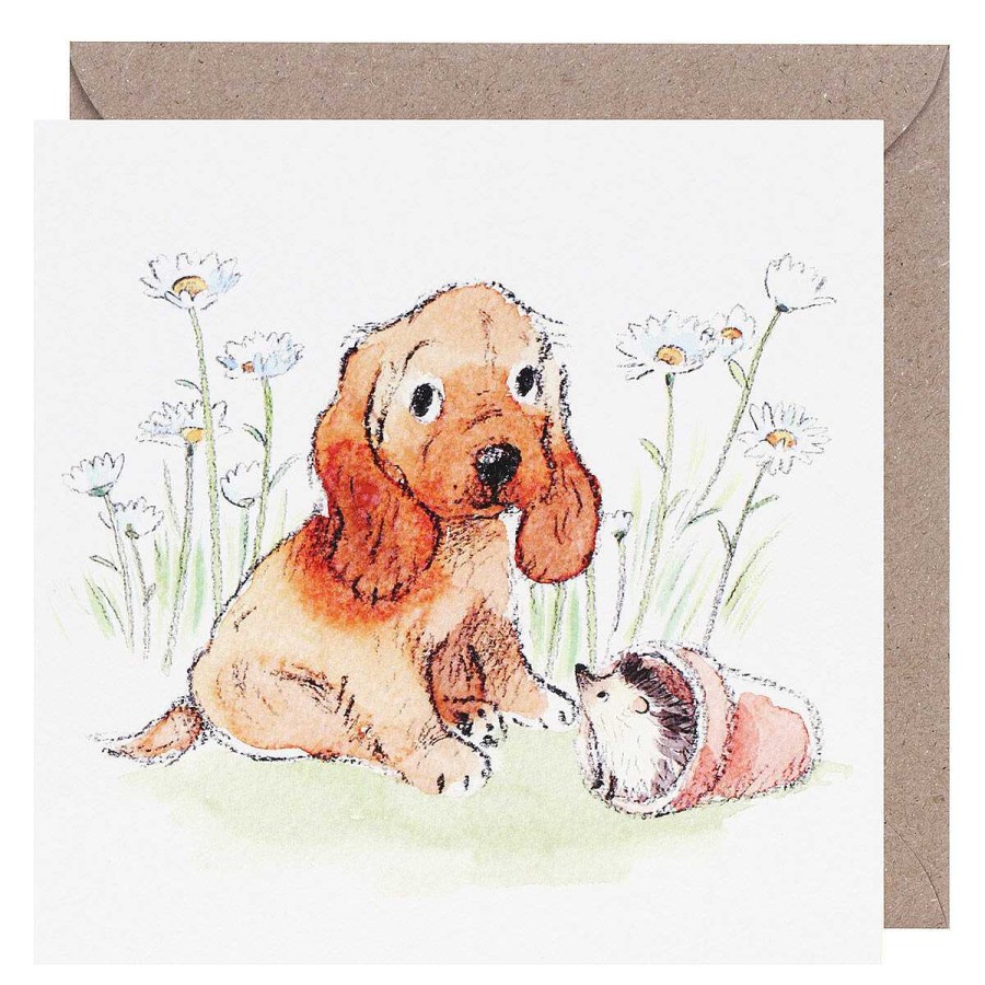 Cats & Dogs Cards | Paper Shed Designs Paper Shed Designs Puppy & Hedgehog Square Greetings Card