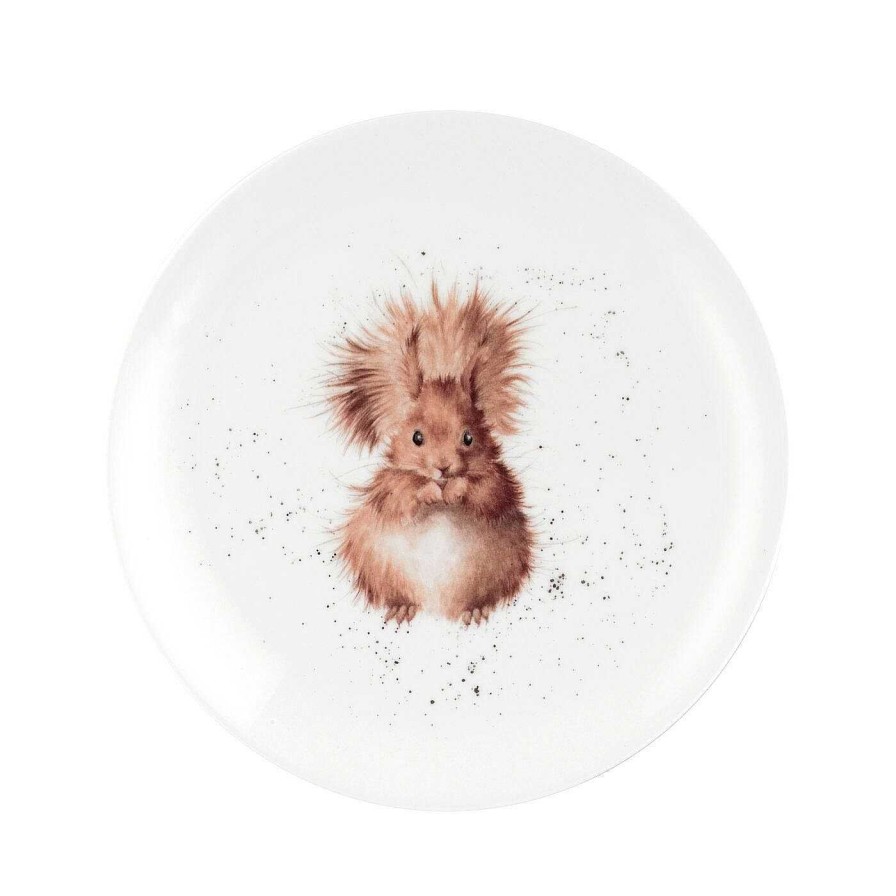 Plates | Wrendale Wrendale 8 Inch Coupe Plate - Squirrel