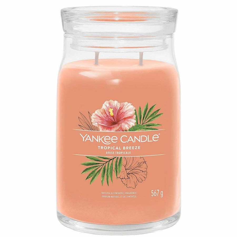 Jar Candles | Yankee Candle Yankee Candle Tropical Breeze Signature Large Jar Candle