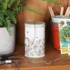 Gardening Accessories | Wrendale Wrendale 'Just Bee-Cause' Bee Garden String Tin