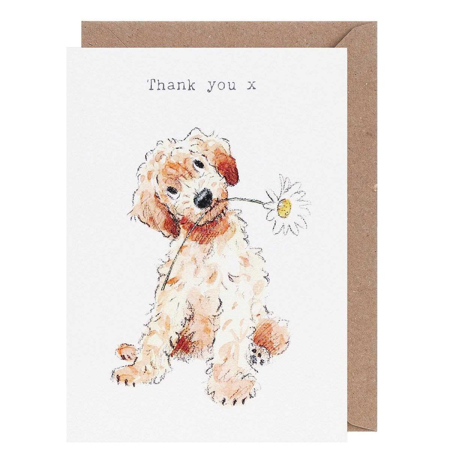 Thank You | Paper Shed Designs Paper Shed Designs Cockapoo 'Thank You' Card