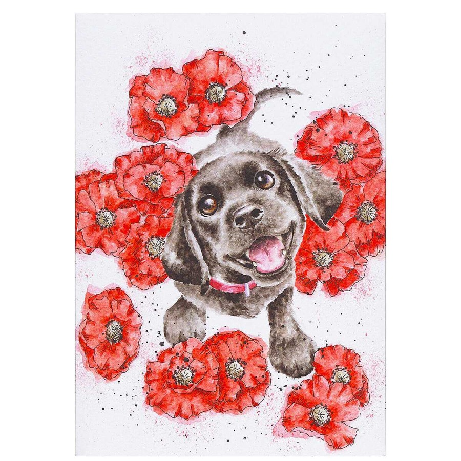 Seed Cards | Wrendale Wrendale 'Poppy Love' Dog Seed Card