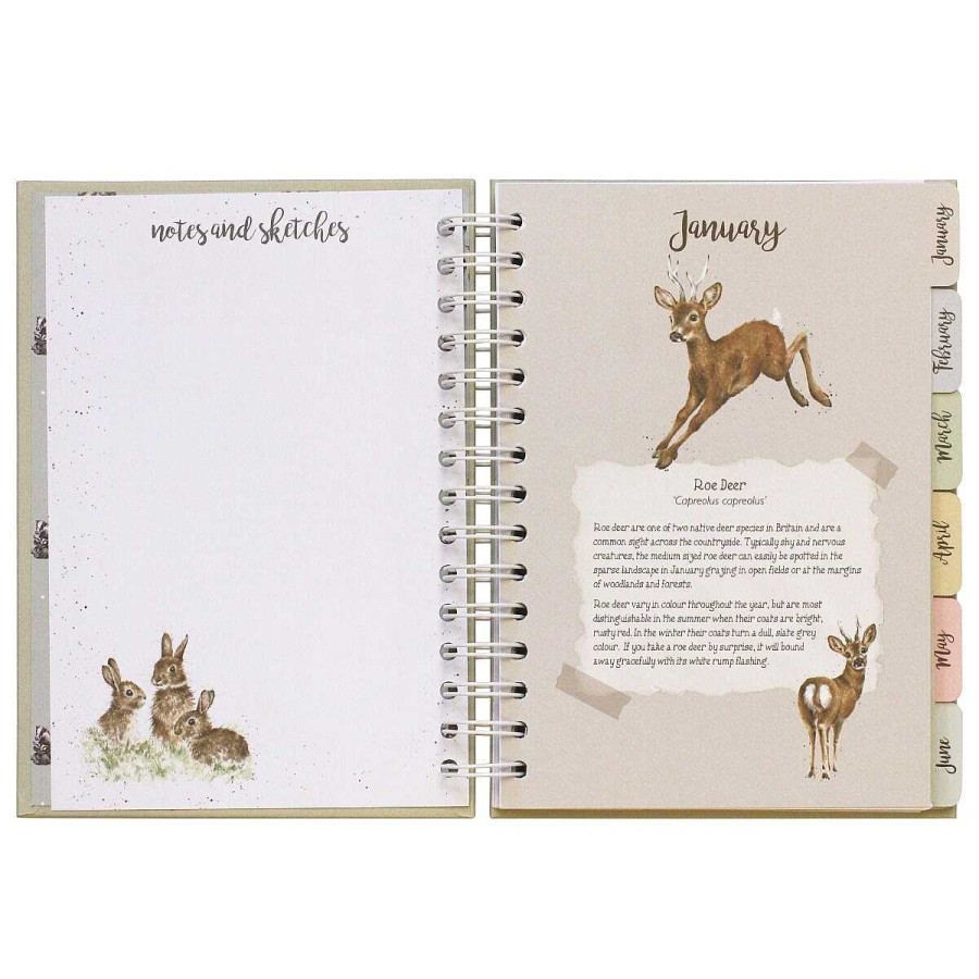 Journals & Planners | Wrendale Wrendale 'Bright Eyed And Bushy Tailed' Fox Wildlife Journal