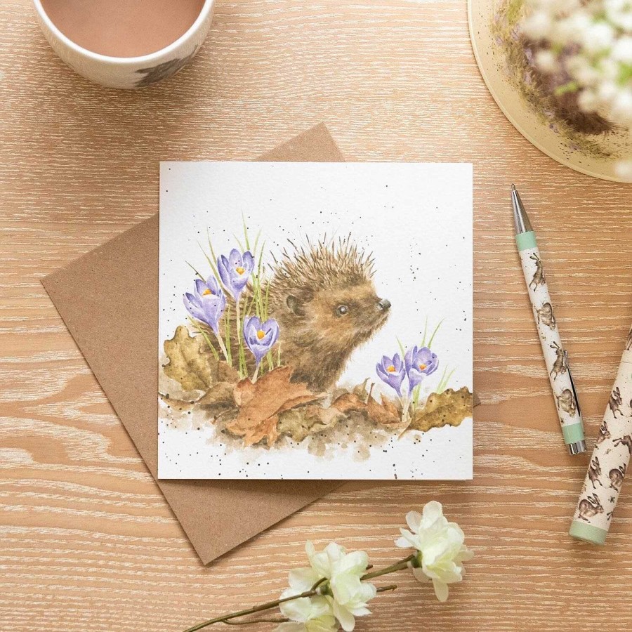 Greeting Cards | Wrendale Wrendale 'New Beginnings' Hedgehog Greetings Card