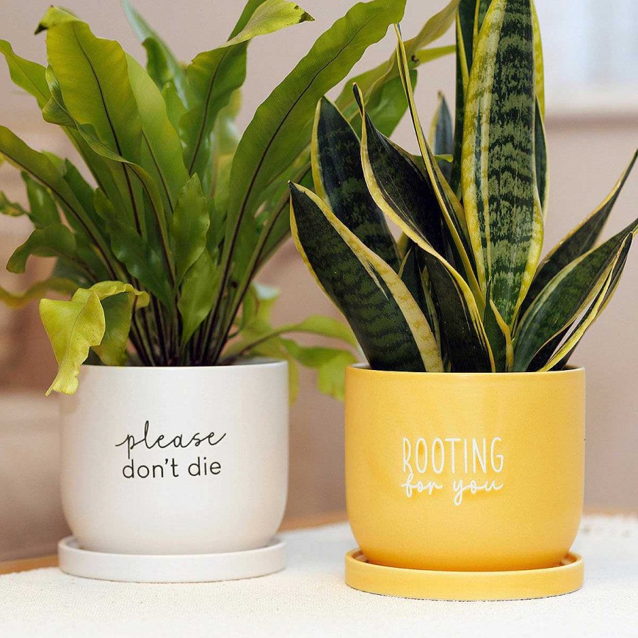 Planters | Widdop & Co Widdop & Co Country Living Please Don'T Die Ceramic Plant Pot