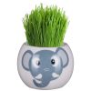 Home & Hobbies | Widdop & Co Widdop & Co Assorted Boutique Garden Jungle Adventure Collection Grass Hair Kit