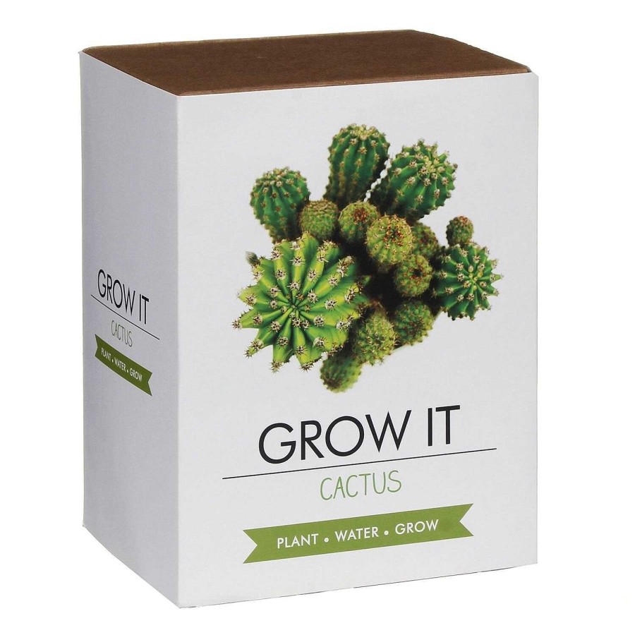 Novelty Gifts | Gift Republic Gift Republic Grow It Cactus