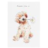 Thank You | Paper Shed Designs Paper Shed Designs Cockapoo 'Thank You' Card