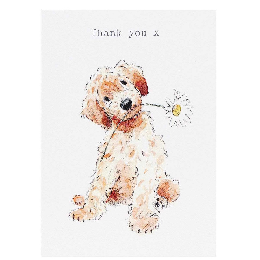 Thank You | Paper Shed Designs Paper Shed Designs Cockapoo 'Thank You' Card