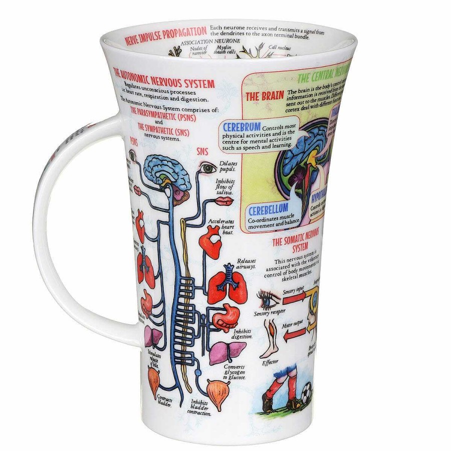 Mugs | Dunoon Dunoon The Nervous System Glencoe Shape Mug