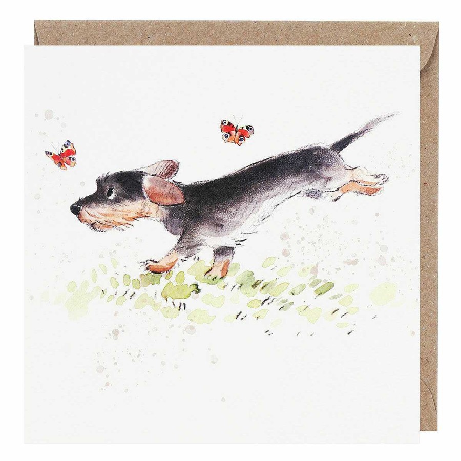 Notecard Sets | Paper Shed Designs Paper Shed Designs Running Dog With Butterflies Pack Of 5 Notecards