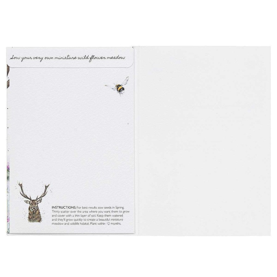 Seed Cards | Wrendale Wrendale 'Thistle Make You Smile' Stag Seed Card