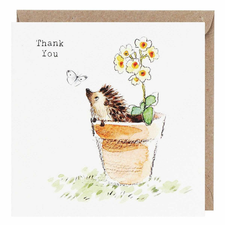 Thank You | Paper Shed Designs Paper Shed Designs Hedgehog In Flower Pot 'Thank You' Pack Of 5 Notecards