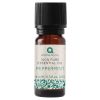 Essential Oils & Diffusers | Aroma Home Aroma Home Peppermint Essential Oil 9Ml