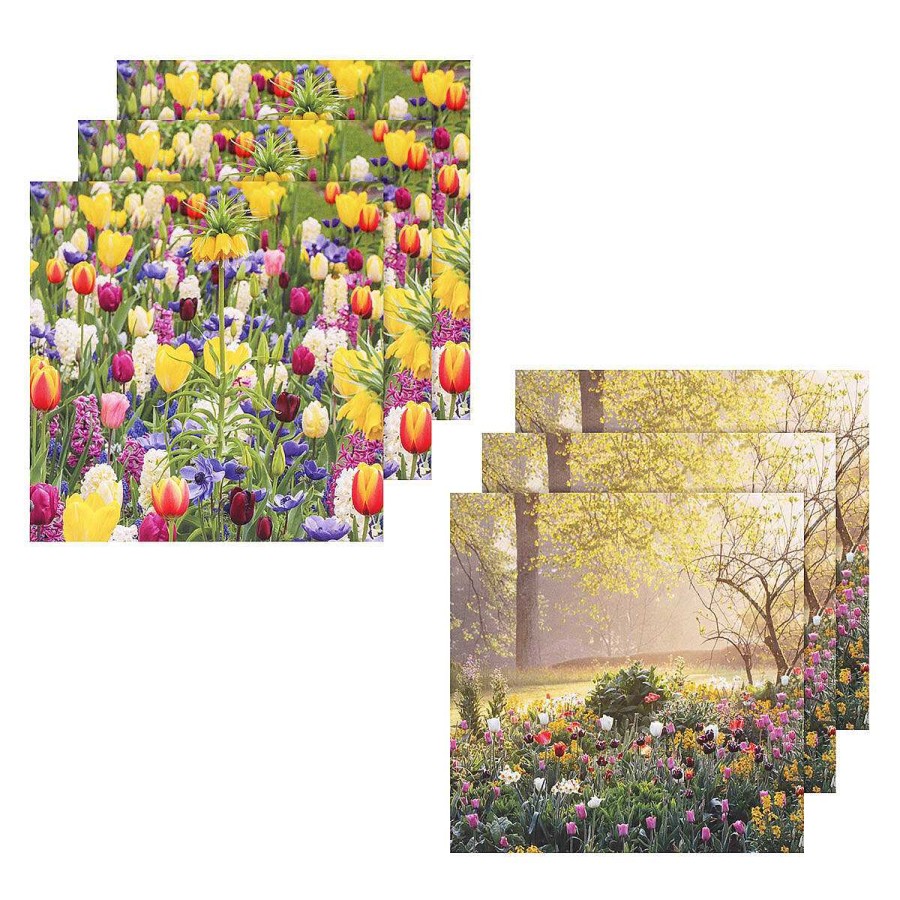 Photographic Cards | BBC Bbc Gardeners' World Tulips & Sunrise Set Of 6 Blank Notecards