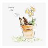 Thank You | Paper Shed Designs Paper Shed Designs Hedgehog In Flower Pot 'Thank You' Pack Of 5 Notecards