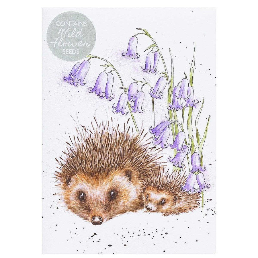 Seed Cards | Wrendale Wrendale 'Love And Hedgehugs' Hedgehog Seed Card