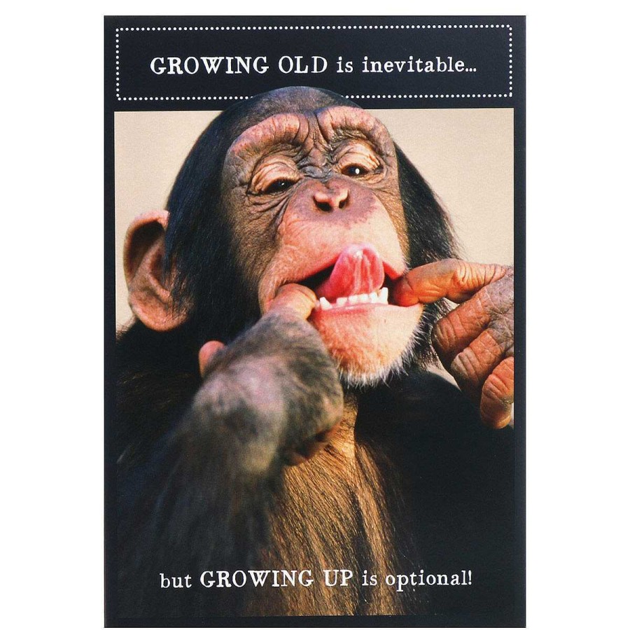 Funny Cards | Pigment Pigment Animal Antics Chimpanzee 'Growing Up Optional' Birthday Card